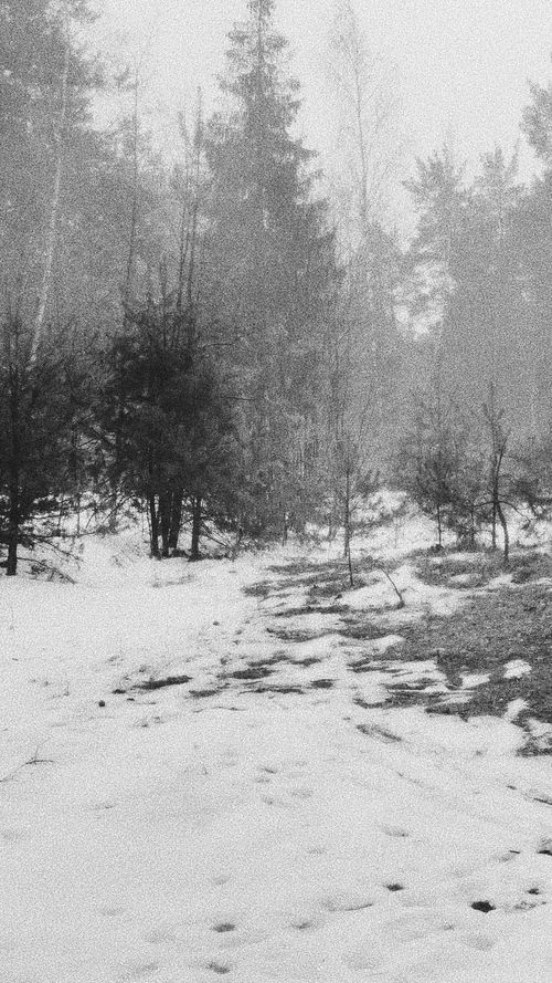 vakariņu laiks